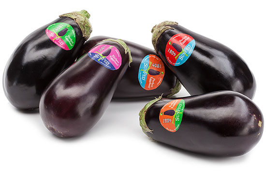 Eggplant