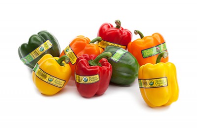 Organic Bell Pepper