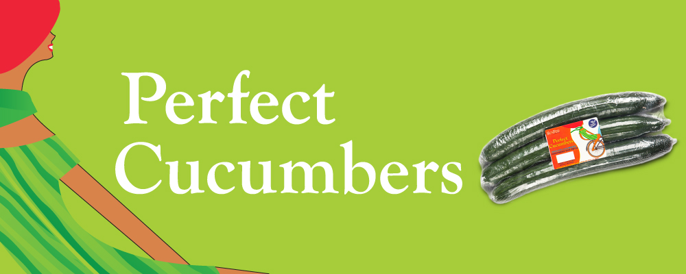 Organic English Cucumber Header