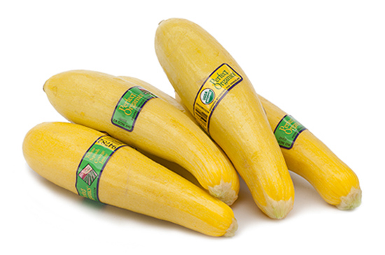 Yellow Squash