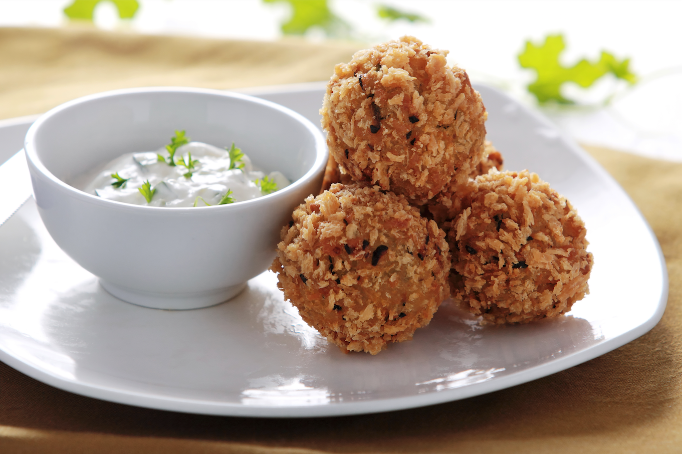 Keto Your Hands Off My Zucchini Balls!!